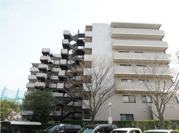 デュオ柏原のサムネイル